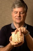 Neurologista afirma ter criado primeira religião com base científica, com ausência de Deus