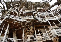 A “pedido de Deus” homem constroi maior casa na árvore do mundo com 10 andares. Veja fotos
