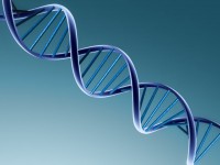 Cientistas afirmam que podem provar a existência de Deus pela análise do DNA