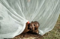 Malária na África: igrejas e a organização cristã Visão Mundial unem-se para combater a doença que mata milhares de crianças