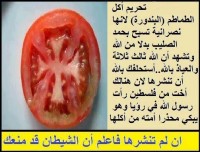 Grupo islâmico proíbe consumo de tomate afirmando se tratar de fruto cristão