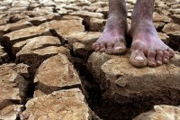 Igreja Universal promove abaixo-assinado para cobrar do governo federal ações contra a seca