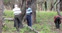 Missionários colhem o maná em Angola