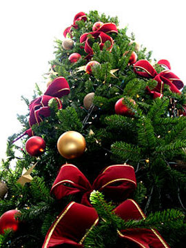 O cristão pode ter uma árvore de Natal em sua casa? Veja opinião sobre o  tema | Notícias Gospel