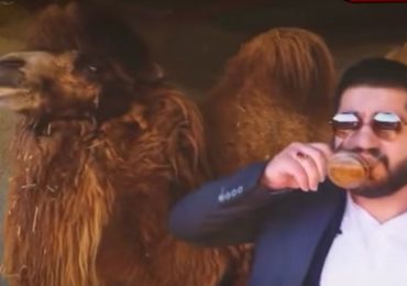 Muçulmano diz que beber urina de camelo pode curar do coronavírus