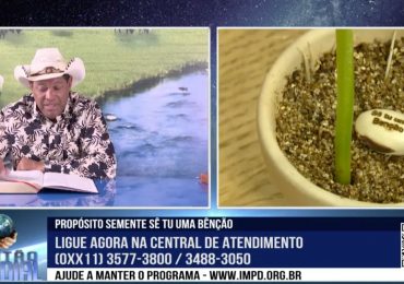 Valdemiro lança campanha com ofertas mínimas de R$ 100 por semente de feijão