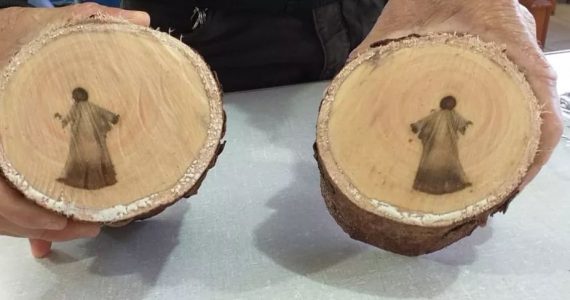 Operários encontram ‘imagem de Jesus’ em tronco de árvore