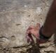 Israel: marcas de 1.500 anos feitas por peregrinos cristãos são achadas por arqueólogos