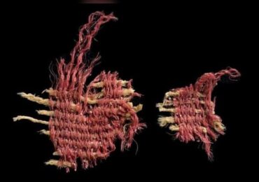 Arqueólogos descobrem tecido de 3.800 anos tingido com inseto citado na Bíblia